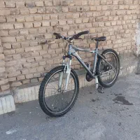 دوچرخه برند کانولدل