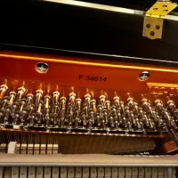 پیانو|پیانو، کیبورد، آکاردئون|تهران, امانیه|دیوار