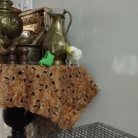 عروس هلندی دستی و رام|پرنده|شهریار, |دیوار