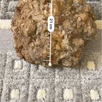 سنگ سلستین بژ قهوه ای|ماهی|دالاهو, |دیوار