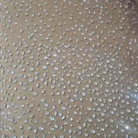 پارچه کارشده با سنگ کریستال|لباس|تالش, هشتپر|دیوار