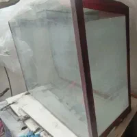 Aquarium|ماهی|بومهن, |دیوار