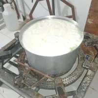 جهت همکاری در لبنیاتی