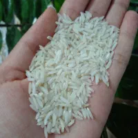 برنج هاشمی درجه یک