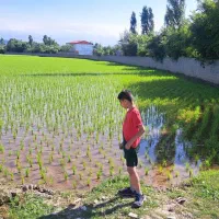 1600-متر-زمین