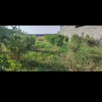 زمین باغی|فروش زمین و ملک کلنگی|دزفول, |دیوار