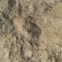 فروش پنج کوپ کاه جو