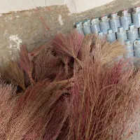 ۱۷۰تا جارو شیرازی (فر.وش یکجا)|جاروبرقی، جارو شارژی، بخارشو|کبودرآهنگ, |دیوار