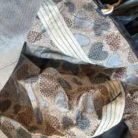 چادر عشایری نظامی (برزنتی)|کوهنوردی و کمپینگ|اهواز, غیزانیه|دیوار