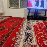 در عکس معلوم منژل باقیمت خوب