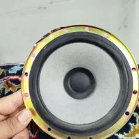 اسپیکر باند وپلیر