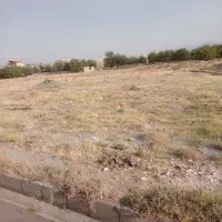 جودیم|خدمات باغبانی و درختکاری|تویسرکان, |دیوار