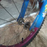 دوچرخه|دوچرخه، اسکیت، اسکوتر|بندر انزلی, انصار الحسین|دیوار