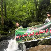 تور شمال ۲۵ شهریور
