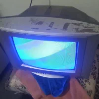 تلوزیون|تلویزیون و پروژکتور|میناب, |دیوار