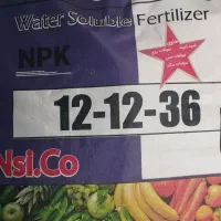 فروش ویژه کودهای پاییزه و زمستانه|خدمات باغبانی و درختکاری|قم, شهرک امام حسن|دیوار