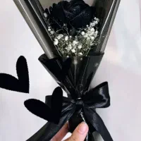 گل هدیه|گل و گیاه طبیعی|زابل, |دیوار