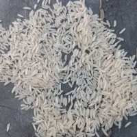 برنج طارم رضی