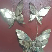 پروانه برنزی نو