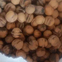 گردو پوست کاغذی تویسرکان درجه1