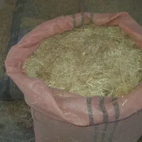 تعداد ۱۰ گونی کاه گندم