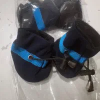 پاپوش سگ و گربه