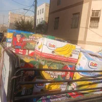 کارتن اسباب کشی .موزی