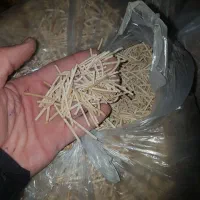 رشته پلویی درجه ۱