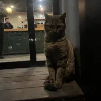 پول قرضی میخوام