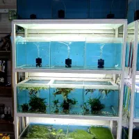 آکواریوم باپایه