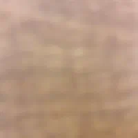 موکت