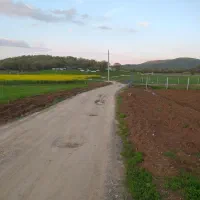 زمین کشاورزی روستای کال