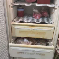 فریزر پارس|یخچال و فریزر|اهواز, شهرک الهیه|دیوار