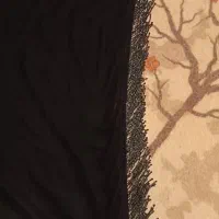ماکسی شیک و مجلسی،با روپوش وشال.یک عدد هم روسری