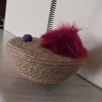 اسکرچر