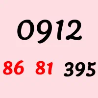0912-86-81-395