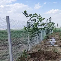 زمین باغی در روستای سیمین