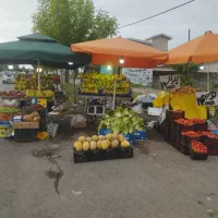 فروشندگی در بساط میوه