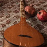 آموزش سه‌تار از پایه/کودک تا بزرگسال|خدمات آموزشی|سنندج, |دیوار