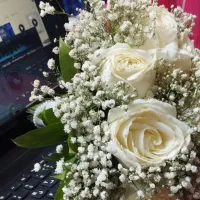 دیجی مراسمات بانوان