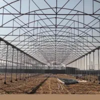 گلخانه/گلخانه سازی/پلاستیک گلخانه/پلاستیک کشی/شید|عمدهفروشی|تهران, نیروی هوایی (پیروزی)|دیوار