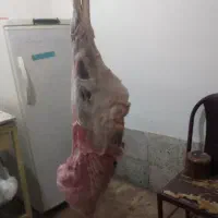 سلام گوشت میش بدون چربی