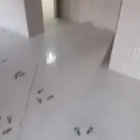 کشی کاری|خدمات پیشه و مهارت|میناب, |دیوار