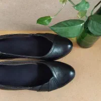 کفش چرم.|کیف، کفش، کمربند|رشت, فلسطین|دیوار