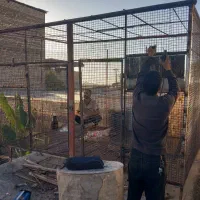 جوشکاری سیار|خدمات پیشه و مهارت|مینودشت, |دیوار