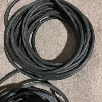 معاوضه کبوتر دمگیر خرقه با کابل برق|پرنده|برخوار, |دیوار