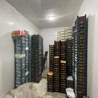 سردخانه صنعتی و نیمه صنعتی|ماشینآلات صنعتی|مشهد, امیر|دیوار