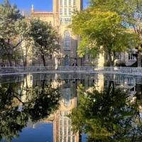 خدمات مالیاتی و حسابداری ویژه شرکتهای پیمانکاری قم