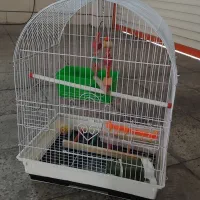 قفس|لوازم جانبی حیوانات|تهران, کیانشهر|دیوار