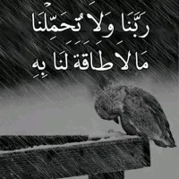 درمان زخم بسترتضمینی دریک هفته باطب سنتی